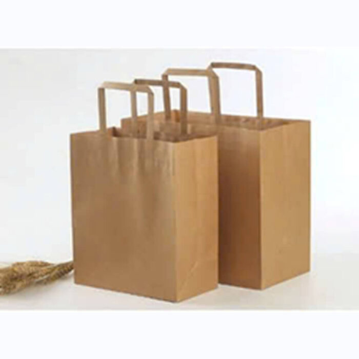 Paper bags with flat handles